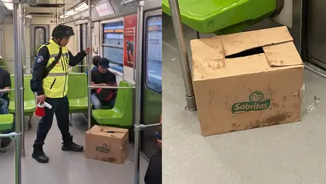 Paquete abandonado causa alerta en vagón del Metro CDMX; policías descubren que eran churros