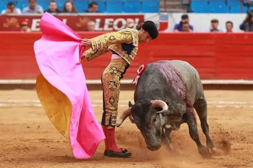 Aprueban dictamen en contra de las corridas de toros en el DF