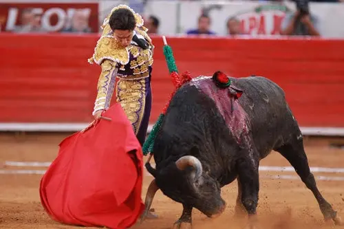 Diego Silveti toma alternativa en Las Ventas