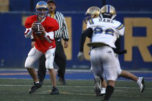 Listo Tigres Intermedia para debutar en casa