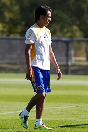 Tigres busca que Lobos este listo para el próximo partido