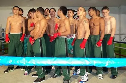 Los Guerreros buscarán las Semifinales cuando enfrenten a los Arlans