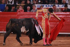 Toro indultado en Aguascalientes