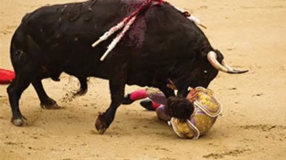 Castella sufre cornada de 10 centímetros