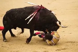 Castella sufre cornada de 10 centímetros