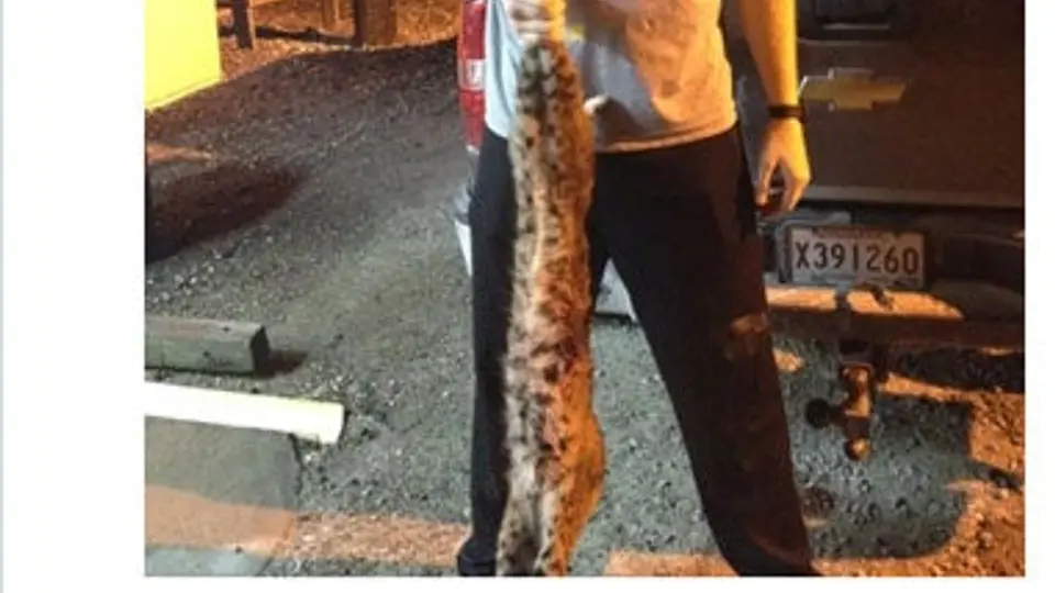 Jugador de Hornets se fotografía con "bobcat" muerto