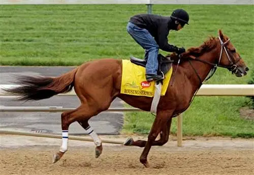 Encuentran cadáver en hipódromo Churchill Downs