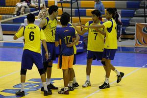Los Tigres del voleibol arrasan con cinco triunfos