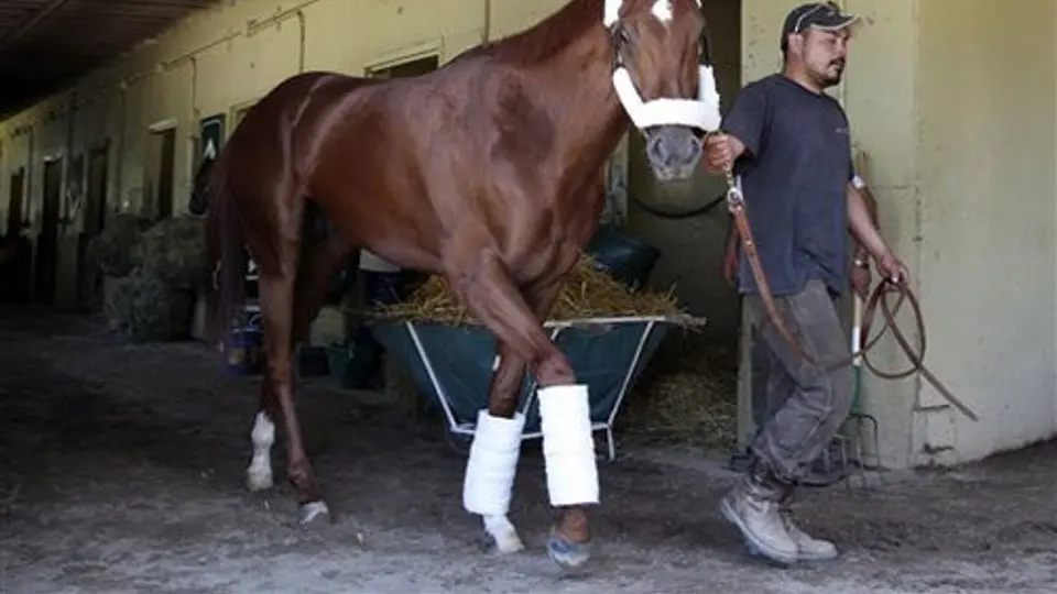 I'll Have Another vuelve a galopar en Belmont