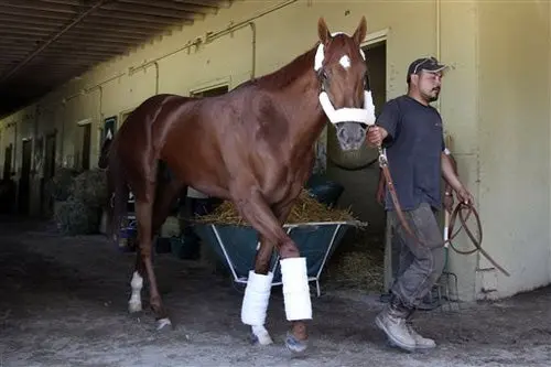 I'll Have Another vuelve a galopar en Belmont