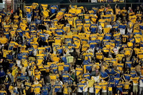 Libres y Lokos preparan su Expo Tigres