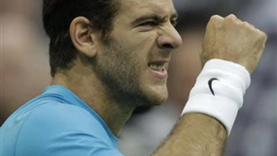 Del Potro avanza a la Final en Rotterdam