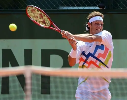 David Nalbandian eliminado de Roland Garros