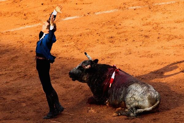El primer toro de Pablo Hermoso. FOTO: DANIEL GÁMEZ