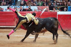 Sánchez, cornado en la México