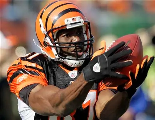Terrel Owens jugará en liga bajo techo