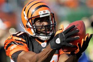 Terrel Owens jugará en liga bajo techo