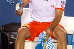 Nalbandián y Baghdatis, multados por conducta antideportiva