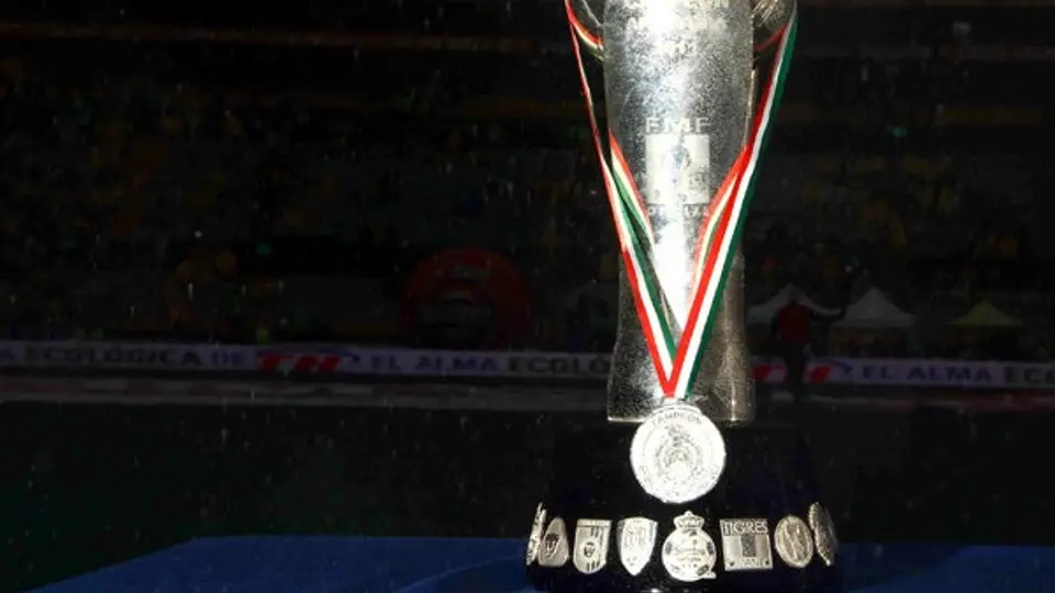 Exhibirán la copa del Campeonato felino en Apodaca