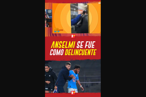 Anselmi se fue como DELINCUENTE