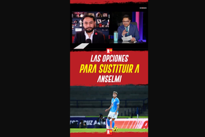 Las OPCIONES para sustituir a ANSELMI