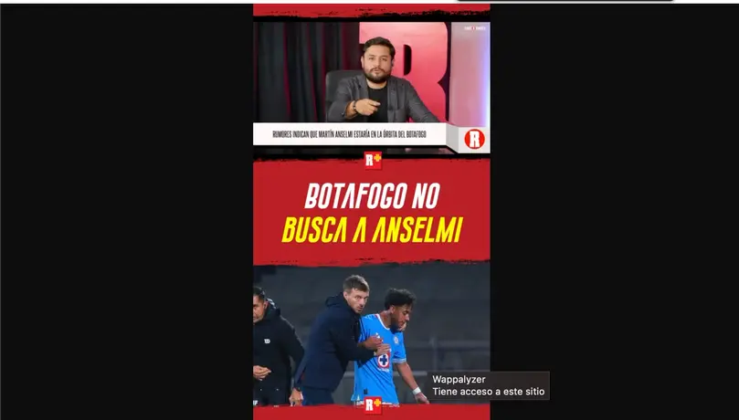 BOTAFOGO no busca a ANSELMI