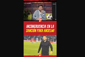 Incongruencia en la Sanción de ANSELMI