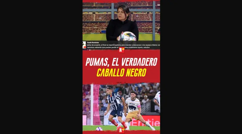 PUMAS, el VERDADERO caballo negro