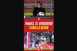 PUMAS, el VERDADERO caballo negro