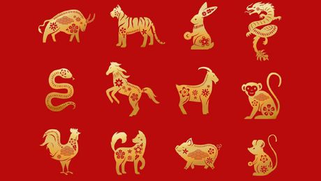 ¿Cuándo es el Año Nuevo Chino 2026? Fecha, signo zodiacal y su poderoso mensaje
