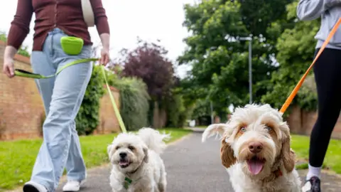 Pet Fest 2026 Ciudad de México: Fecha, lugar y todo lo que debes saber