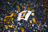 Otra vez violencia en la Liga MX: aficionados de Pumas agreden a fans del Toluca