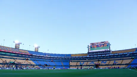 ¡Oficial! Figura de Tigres se pierde el resto de la Liguilla