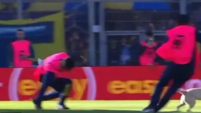 ¡Se robó el show! Perro invade la cancha en Argentina y “humilla” a los recogepelotas