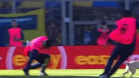 ¡Se robó el show! Perro invade la cancha en Argentina y “humilla” a los recogepelotas