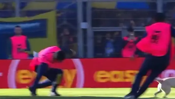 ¡Se robó el show! Perro invade la cancha en Argentina y “humilla” a los recogepelotas