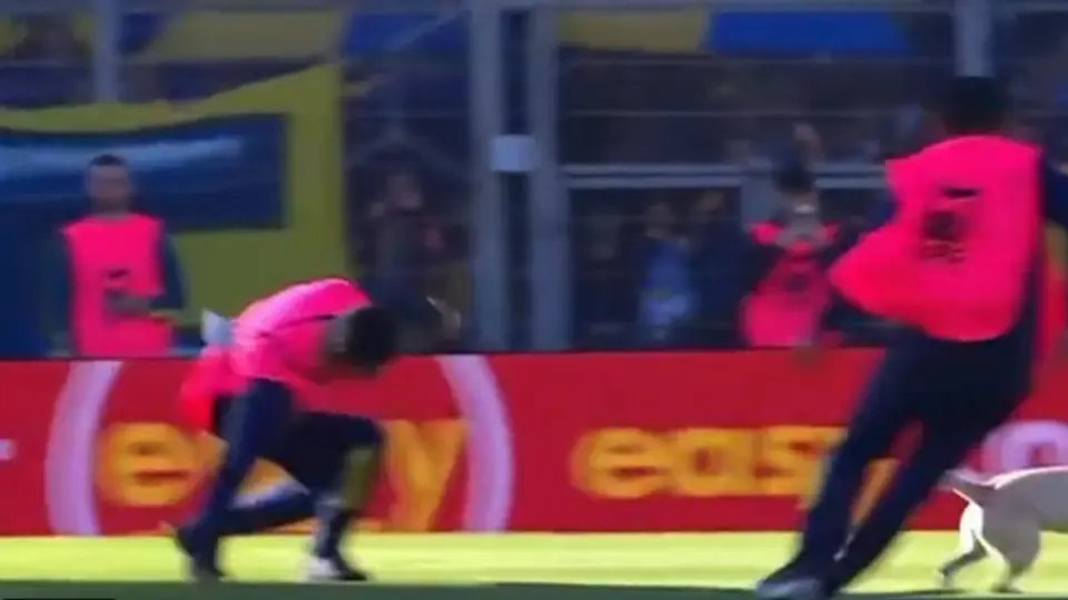 ¡Se robó el show! Perro invade la cancha en Argentina y “humilla” a los recogepelotas