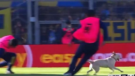 ¡Se robó el show! Perro invade la cancha en Argentina y “humilla” a los recogepelotas