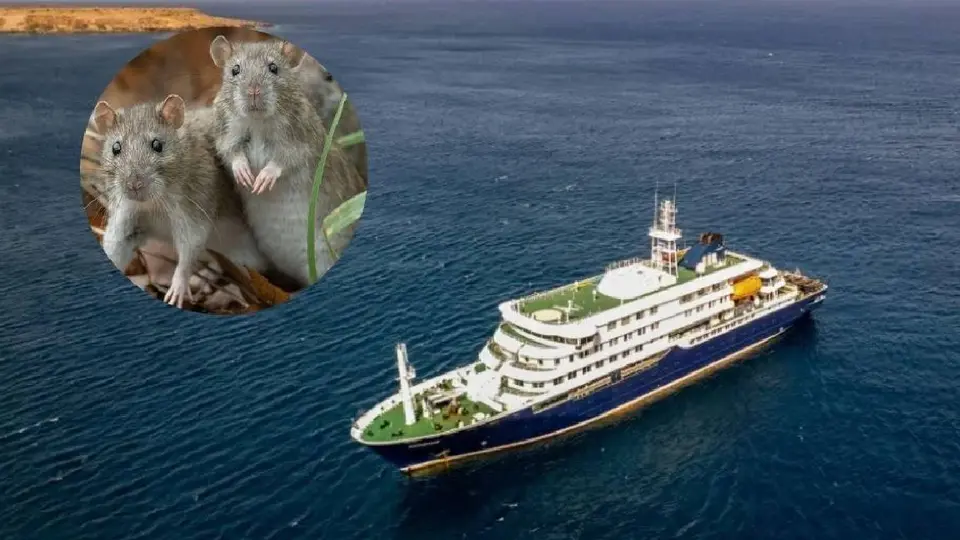 OMS alerta por hantavirus en crucero: Hay tres muertos