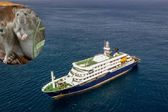 OMS alerta por hantavirus en crucero: Hay tres muertos
