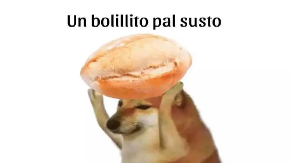 MEMES tras sismo de 5.6 en Oaxaca: Así reaccionaron los mexicanos después del temblor