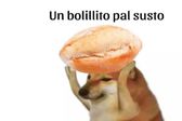 MEMES tras sismo de 5.6 en Oaxaca: Así reaccionaron los mexicanos después del temblor