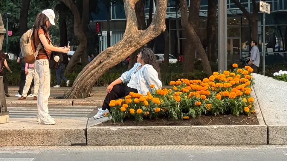 Las flores asociadas al Día de Muertos ahora forman parte de la imagen que la CDMX quiere proyectar durante la Copa del Mundo. / Georgina Sánchez
