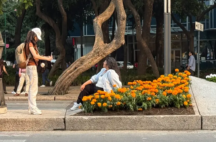 Las flores asociadas al Día de Muertos ahora forman parte de la imagen que la CDMX quiere proyectar durante la Copa del Mundo. / Georgina Sánchez