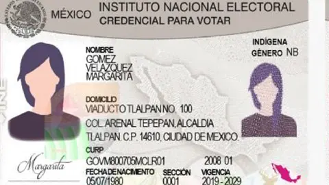 La credencial para votar emitida por el INE es actualmente la identificación oficial más utilizada en el país / Especial