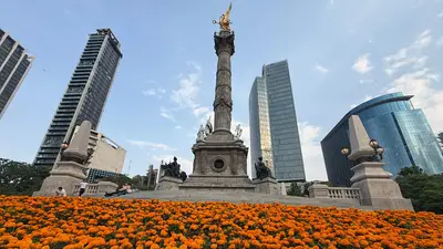 ¿Junio o noviembre? Flores de cempasúchil pintan de naranja las calles de la CDMX
