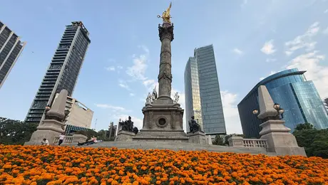 ¿Junio o noviembre? Flores de cempasúchil pintan de naranja las calles de la CDMX