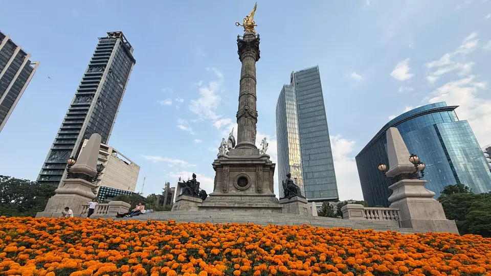¿Junio o noviembre? Flores de cempasúchil pintan de naranja las calles de la CDMX