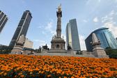 ¿Junio o noviembre? Flores de cempasúchil pintan de naranja las calles de la CDMX
