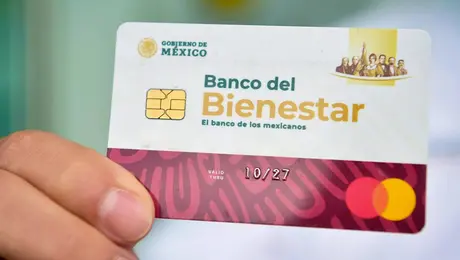 ¿Pueden suspender pagos de la Pensión Bienestar por no actualizar datos? Esto se sabe